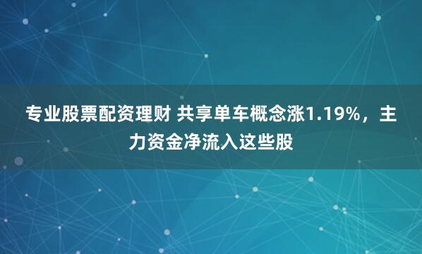 专业股票配资理财 共享单车概念涨1.19%，主力资金净流入这些股