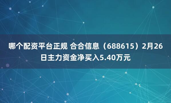 哪个配资平台正规 合合信息（688615）2月26日主力资金净买入5.40万元