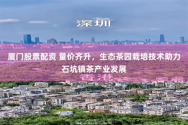 厦门股票配资 量价齐升，生态茶园栽培技术助力石坑镇茶产业发展