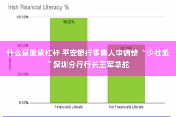 什么是股票杠杆 平安银行零售人事调整 “少壮派”深圳分行行长王军掌舵