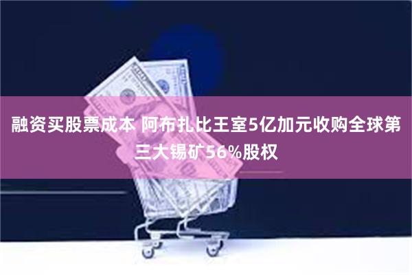 融资买股票成本 阿布扎比王室5亿加元收购全球第三大锡矿56%股权