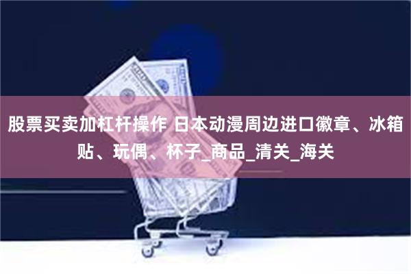 股票买卖加杠杆操作 日本动漫周边进口徽章、冰箱贴、玩偶、杯子_商品_清关_海关