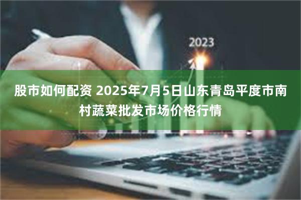股市如何配资 2025年7月5日山东青岛平度市南村蔬菜批发市场价格行情