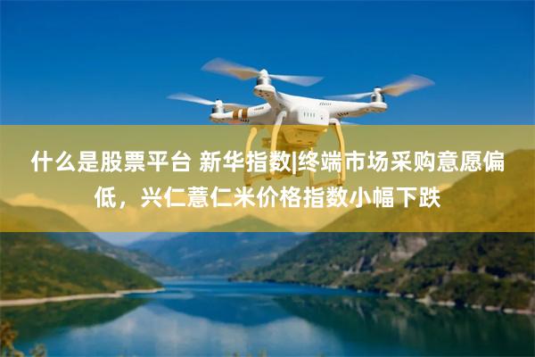 什么是股票平台 新华指数|终端市场采购意愿偏低，兴仁薏仁米价格指数小幅下跌