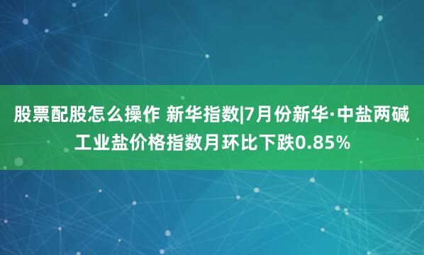 股票配股怎么操作 新华指数|7月份新华·中盐两碱工业盐价格指数月环比下跌0.85%