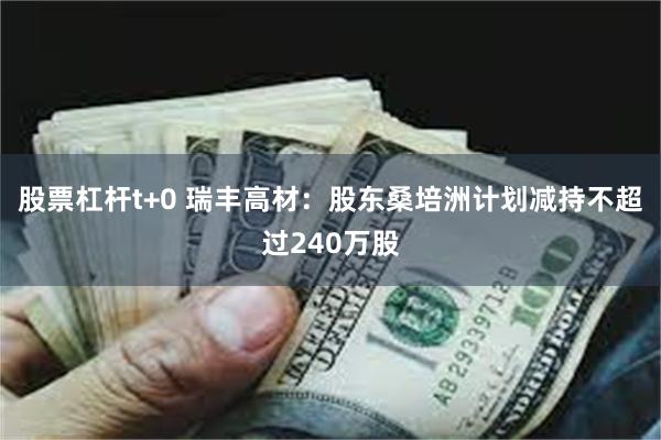 股票杠杆t+0 瑞丰高材：股东桑培洲计划减持不超过240万股