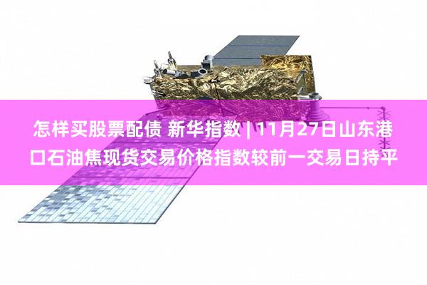 怎样买股票配债 新华指数 | 11月27日山东港口石油焦现货交易价格指数较前一交易日持平