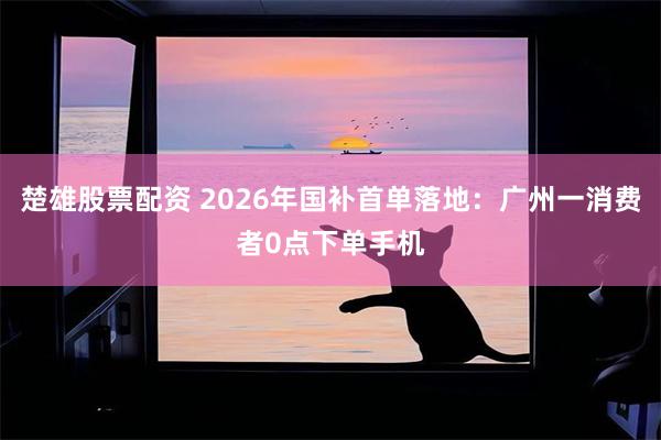 楚雄股票配资 2026年国补首单落地:广州一消费者0点下单手机